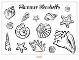 Seashell Giggle sketch template