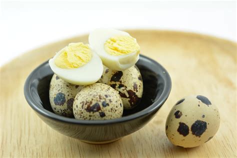 quail eggs  theyre perfect   homesteader