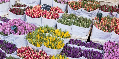ready  spring    stunning flower markets