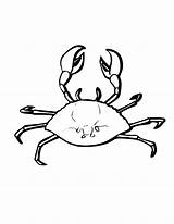 Crab Coloring Pages Marine Animals Blue Animal Printable Color Ghost Kids Horseshoe Sheet Swordfish Print Getdrawings Getcolorings Hermit Designlooter Drawing sketch template