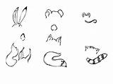 Coloring Pages Ear Animal sketch template
