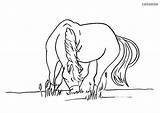 Pferd Grazing Horses sketch template