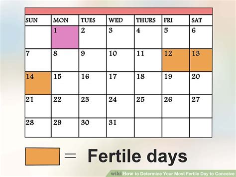 how to determine your most fertile day to conceive 7 steps