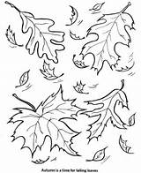 Coloring Leaf Pages Fall Printable Kids sketch template