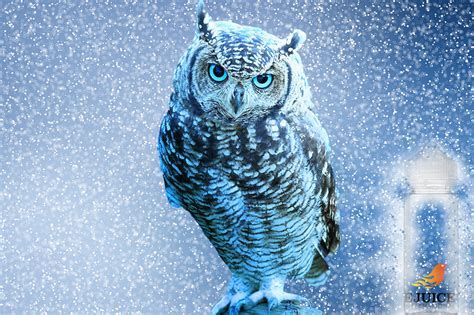 blue owl ejuice international