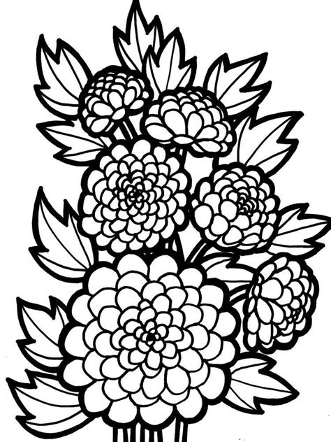 chrysanthemum coloring pages    print