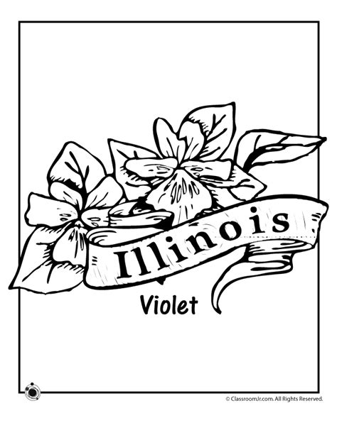 illinois state flower coloring page woo jr kids activities