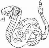 Schlangen Drucken Rattlesnake Zornige Ausdrucken Klapperschlange sketch template