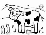 Cow Coloring Milk Pages Cows Dairy Drawing Produce Colouring Cute Printable Healthy Kids Color Cattle Drive Adults Cookies Getcolorings Getdrawings sketch template