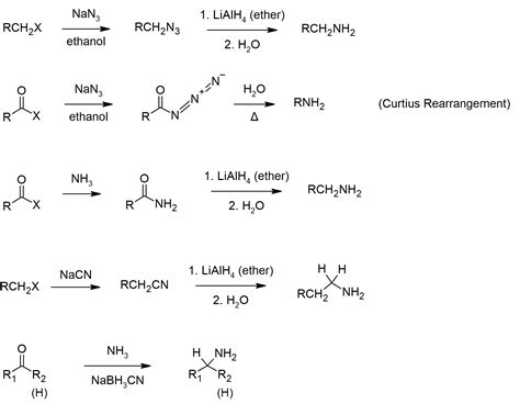 amines  heterocycles summary chemistry libretexts
