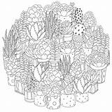 Coloring Cactus Houseplants 30seconds Similares sketch template