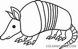 Armadillo Coloring4free Coloring Pages Printable Related Posts sketch template