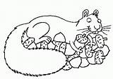 Squirrel Coloring Finished sketch template