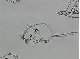 Farbe Zeichnen Tier Maus Vorstellen Malvorlagen sketch template