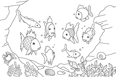 aquatic coloring pages  getcoloringscom  printable colorings