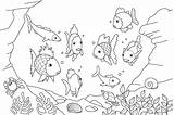 Aquatic Coloring Pages Getcolorings Fish Kids sketch template