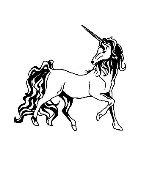 unicorn google search horse coloring pages coloring pages horse