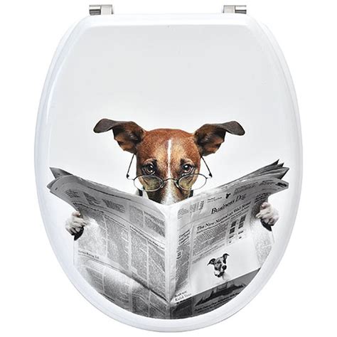 evideco elongated toilet seat dog jack russel reviews wayfair