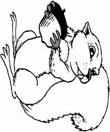 Acorn Squirrel Clipart Library Coloringpages7 Savanna sketch template