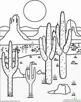 Desierto Giddy Mojave Vbs Ecosistema Colorir Coloriage Plains Bordados Ecosystem Longs Roam Designlooter Habitat Wüste Leerlo Colorier Biomes Bioma Sahara sketch template