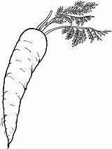 Carrot Coloring Pages Vegetables Recommended sketch template