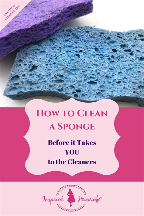clean  sponge   takes    cleaners cleaning