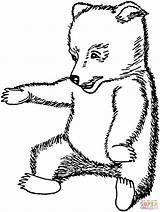 Coloring Cub Bear Pages Brown Baby Animals Printable Drawing Bears Line Click Designlooter Drawings Getdrawings 1674 33kb Categories sketch template