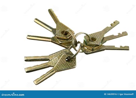 keys royalty  stock image image