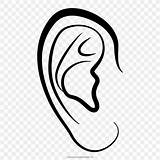 Ear Drawing Coloring Auricle Book Para Transparent Colorear Orejas Ears Cartoon Clipart Clip Heart Save Favpng sketch template