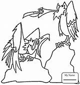 Coloring Pages Hawk Red Tailed Iowa Prey Birds Getcolorings Printable Getdrawings Tail Tony Colorings sketch template