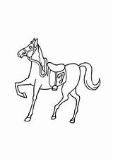 Rennpferd Ausmalbilder Pferde Ausmalbild Ausdrucken sketch template