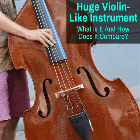 big violin  instrument        compare