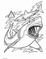 Sharks Tiburones Kolorowanki Ausmalbilder Hai Rekin Adults Rekiny Druku Bestcoloringpagesforkids Konabeun Haie Dzieci Tiburón Imágenes Quiver Misterart Sharknado Pobrania sketch template