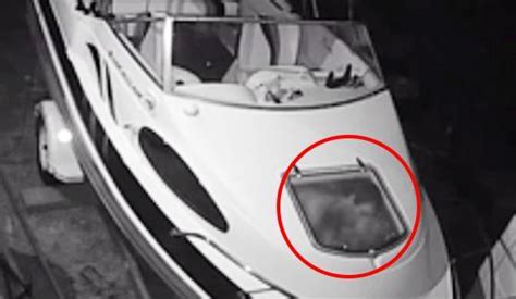 owner horrified to find randy couple having sex inside his beloved boat after spotting them on cctv