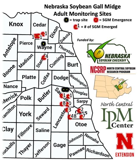 soybean gall midge emergence continues in nebraska cropwatch