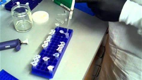 Phenol Chloroform Extraction Part 2 Youtube