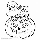Coloring Pages Pug Dog Halloween Pugs Printable Puppy Pig Corgi Jack Colorear Para Kids Pumpkin Cool Book Lantern Print Dogs sketch template