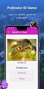 gardening apps  beginners   busy dont    start growmuse
