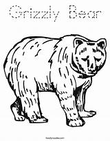 Bear Grizzly Coloring Built California Usa sketch template