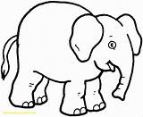 Elefante Olifant Dieren Gajah Pages Pngegg Mewarnai Elephants Olifanten Horton Mandala Clipartmag Joyce Loon Colorare Elefantes Adult Cara Karien Disegno sketch template