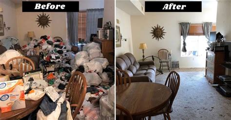 clean  hoarders house fast effective solutions