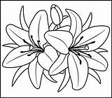 Coloring Printable Flower Lily Pages Adult Flowers Numbers Number Color Choose Board Painting sketch template