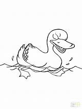 Coloring Duck Cute Pages Getcolorings Ducks sketch template