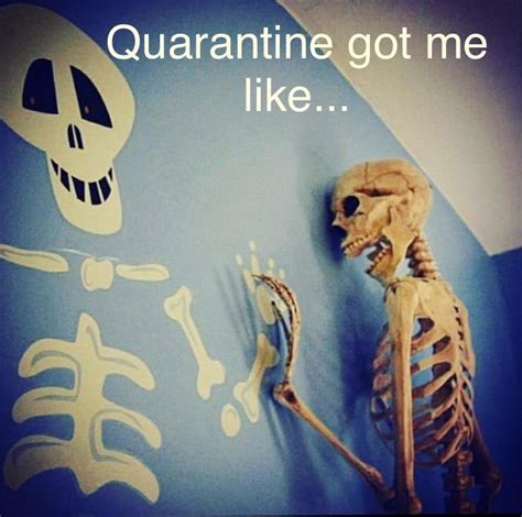quarantine got me like halloween
