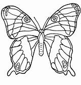 Coloring Pages Butterfly Butterflies Color Printable Leafwing Animal Sheets Complicated Kids Print Animals Back sketch template