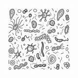 Ausmalen Bacteria Germs Zusammensetzung Betrag Abgehobenen Stellten Corel Biologie 30seconds Vektorillustration sketch template