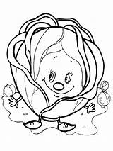 Cabbage Coloring Pages Print Vegetables Kids Template Recommended Color sketch template