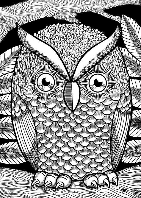 pin  ceciley marlar  owl coloring pages owl coloring pages