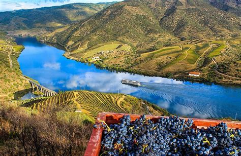 douro valley  portugal  wine wine tourism  portugal