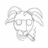 Goat Line Drawing Paintingvalley sketch template